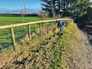 Carwyn Farnden from Tegryn planting 10 native trees.