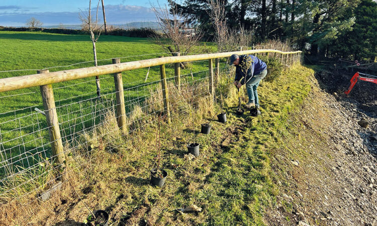 Carwyn Farnden from Tegryn planting 10 native trees.
